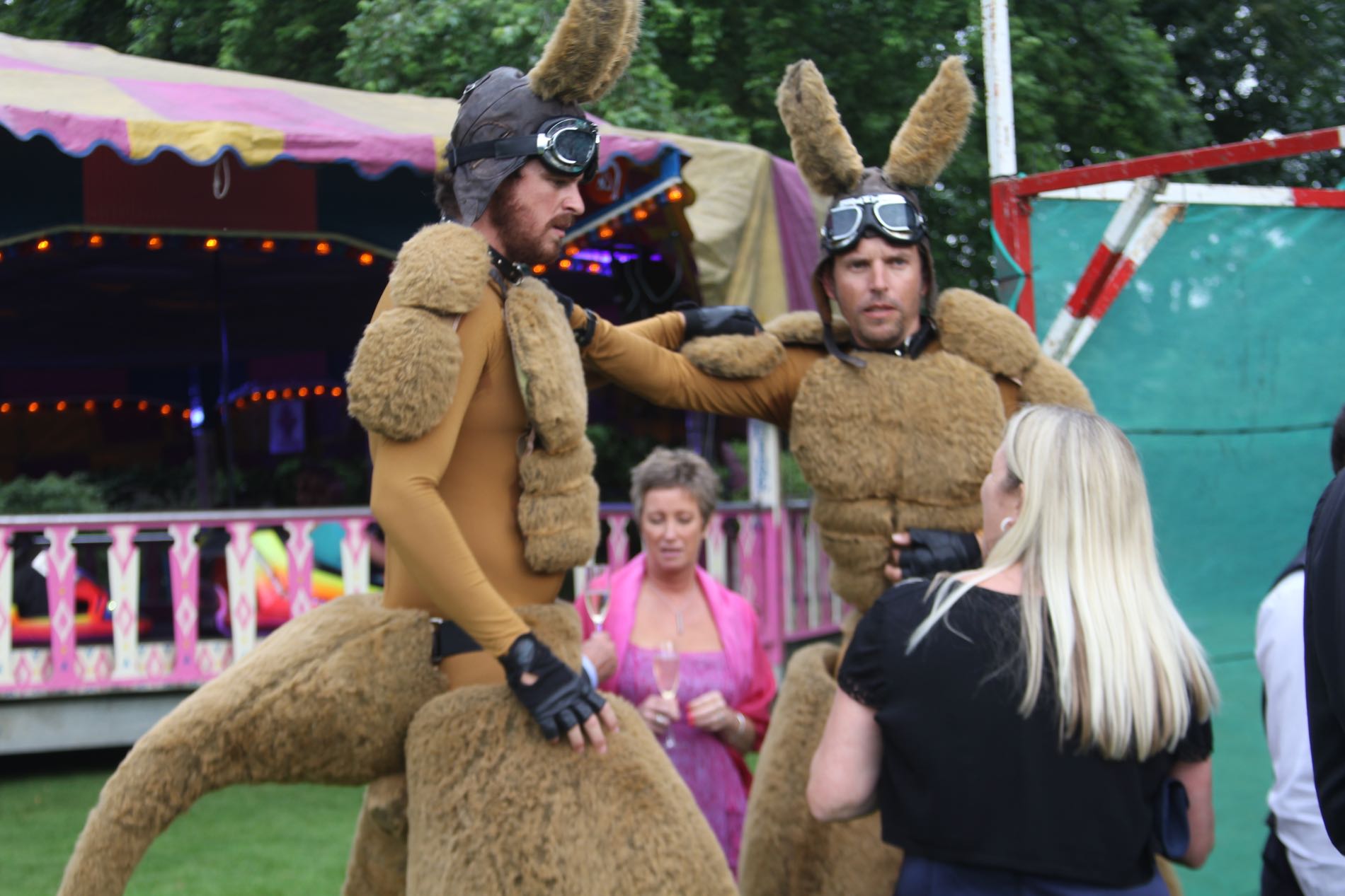 Image of a lady talking to giant Kangaroos with Dodgems in the background.