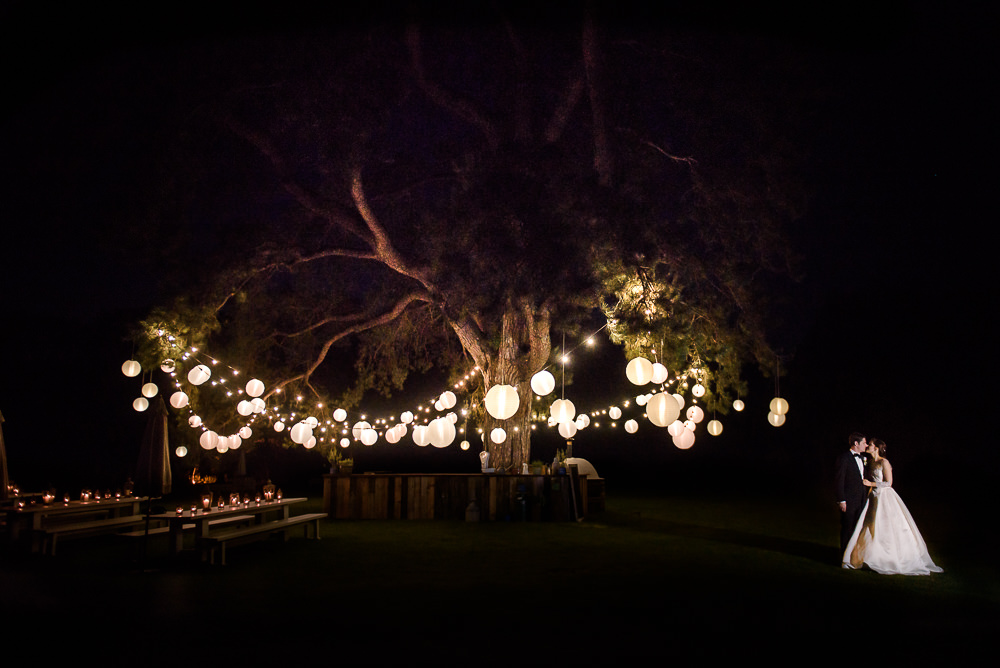 Image of a large tree with white lighting and round shades with a bride and groom embracing underneath